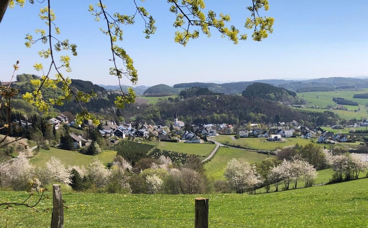 Fewo Auszeit Zum Anspel Medebach Eksteriør bilde